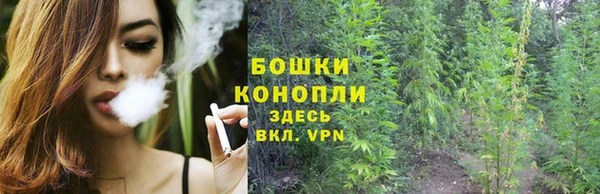 СК Аркадак