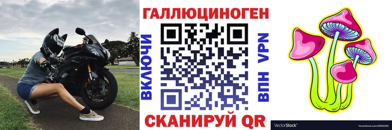 Псилоцибиновые грибы GOLDEN TEACHER  Семилуки 